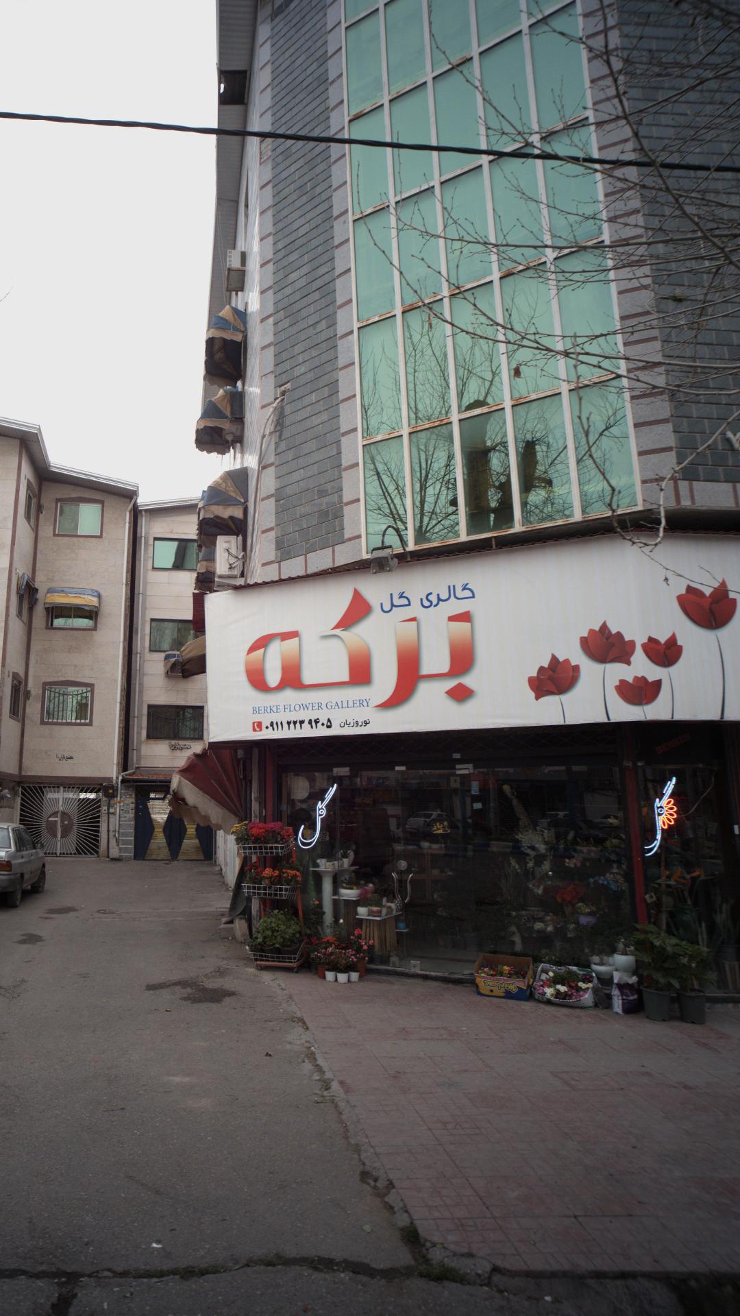 گلکده کاملیا