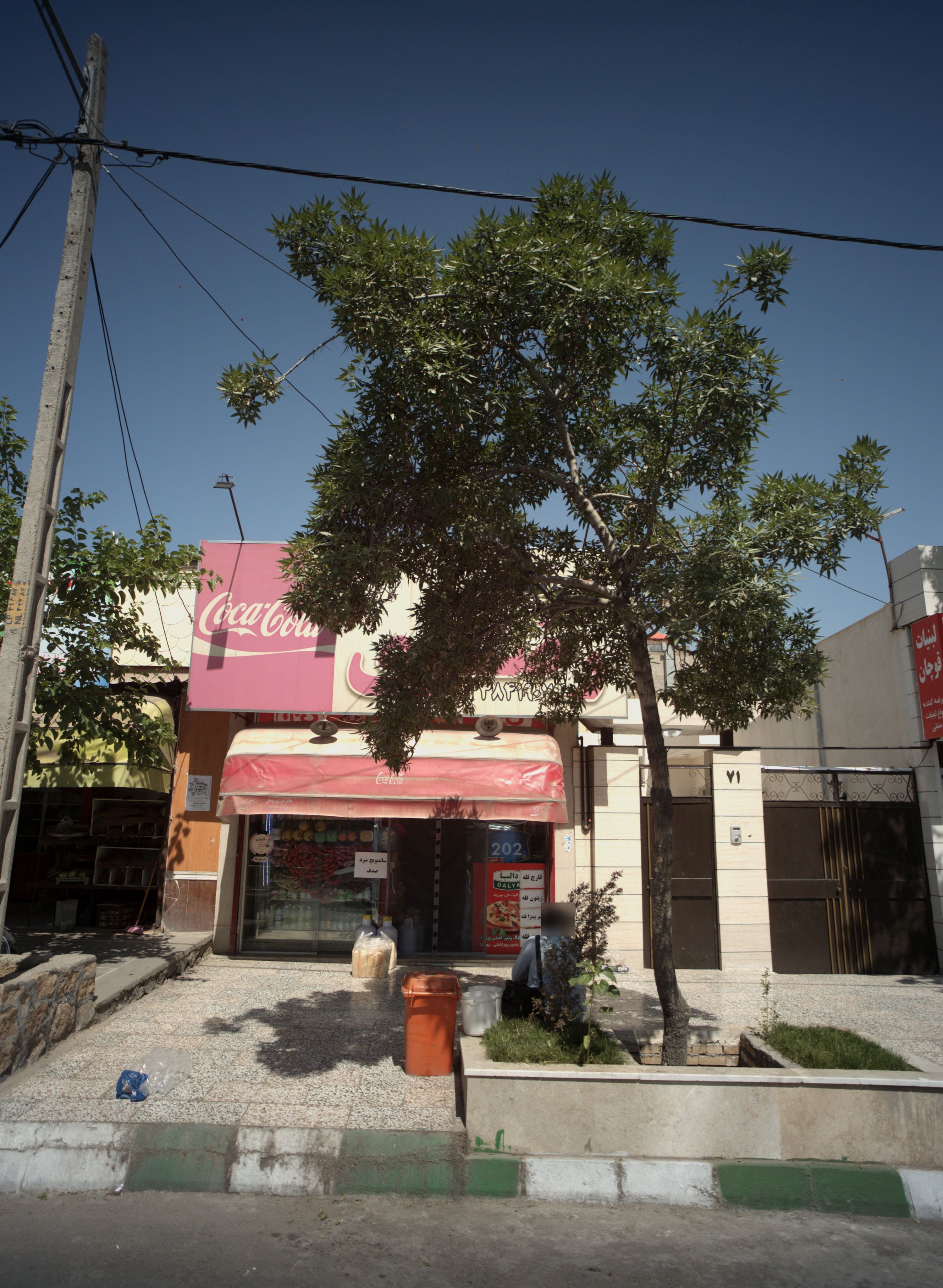 پروتئین رضوی