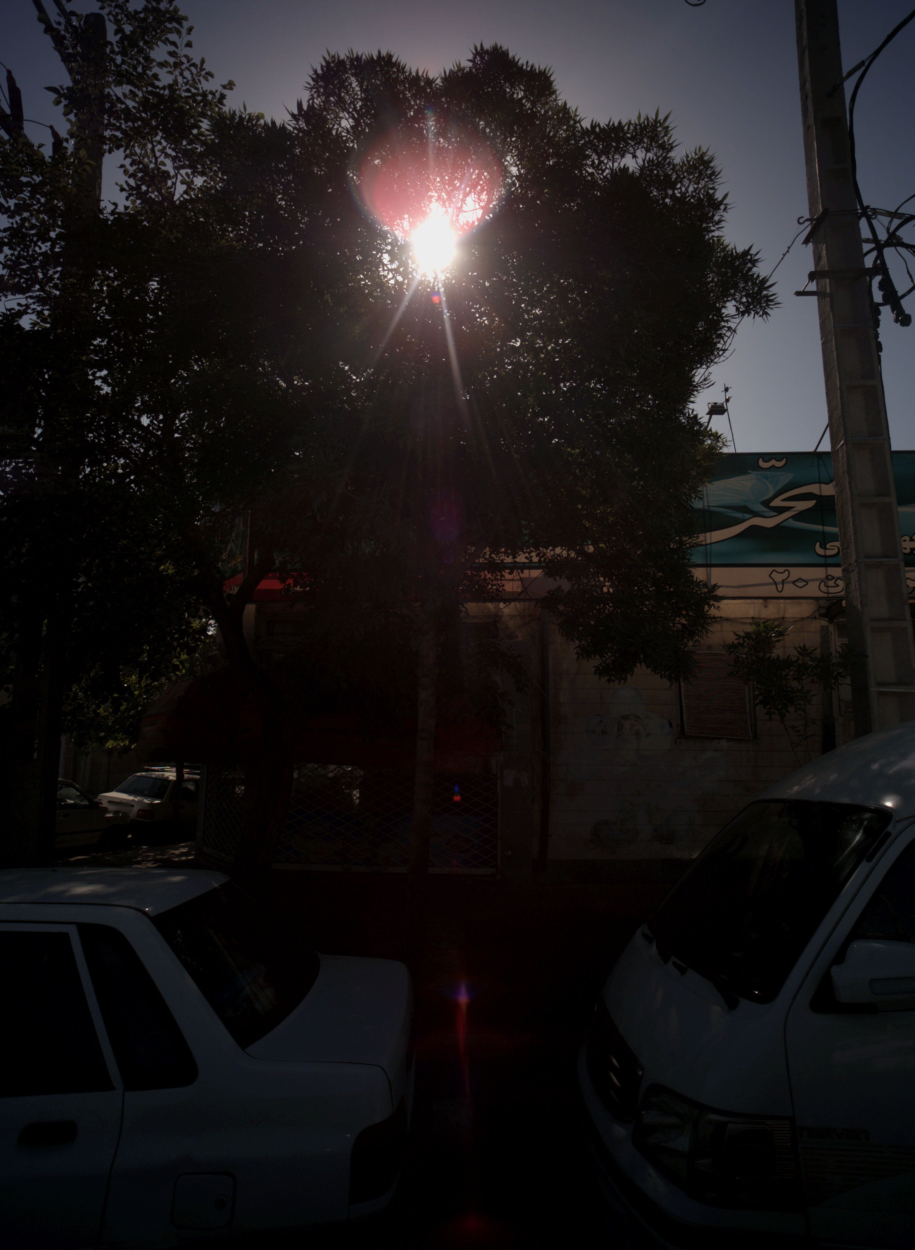 سوپر پروتئین ۲۰