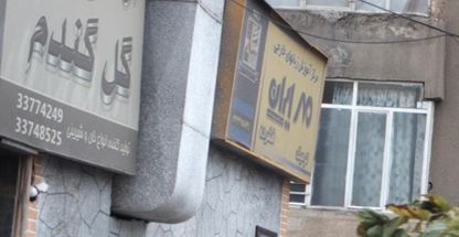 نان فانتزی گل گندم