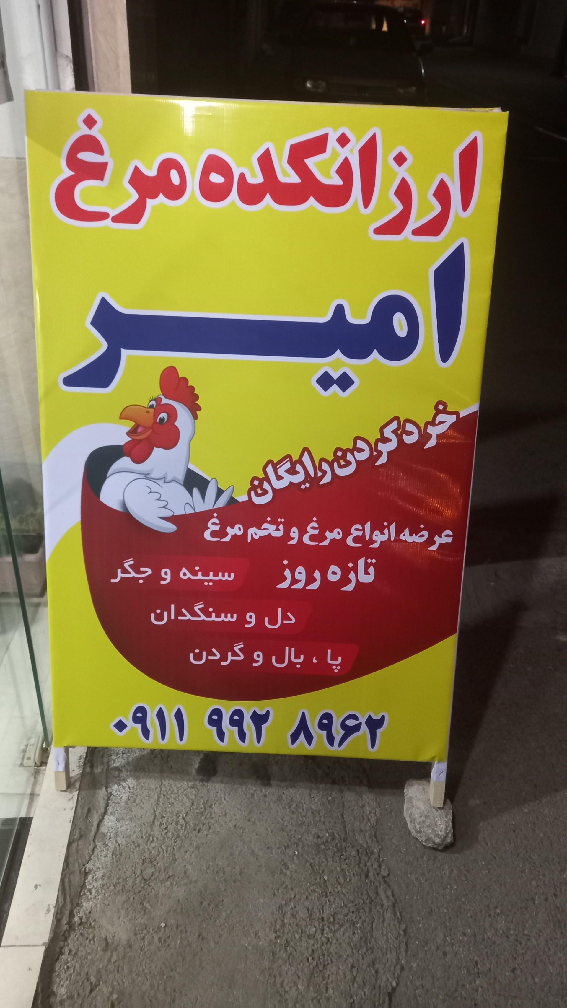 مرغ و پروتئین سلامت