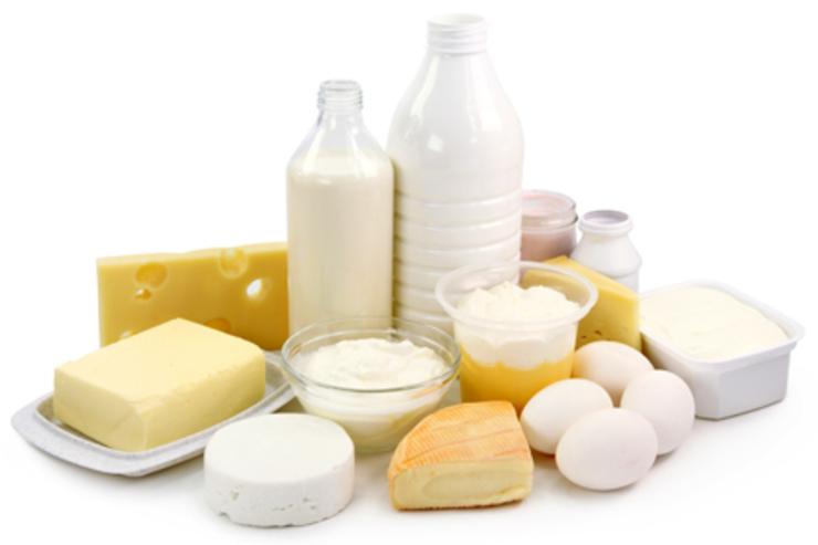 لبنیات سنتی مشکول