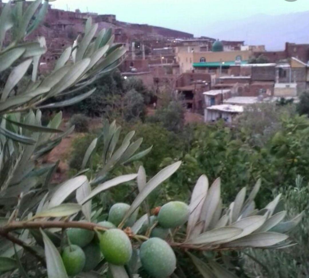کلج