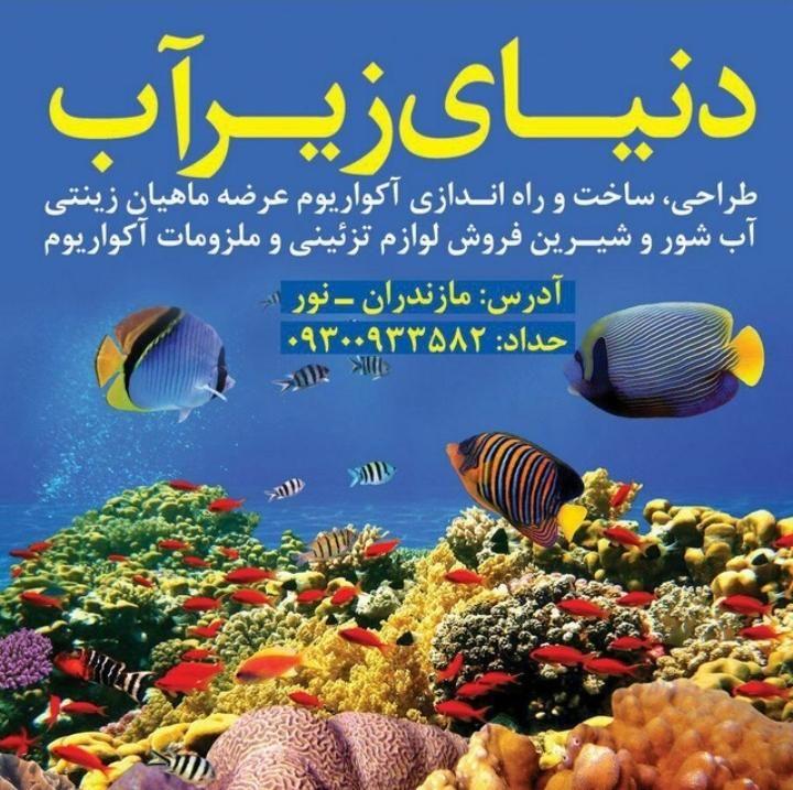 فروشگاه آکواریوم دنیای زیر آب