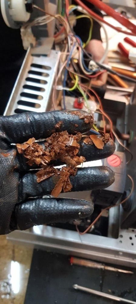 سید محمد شفابخش کلور