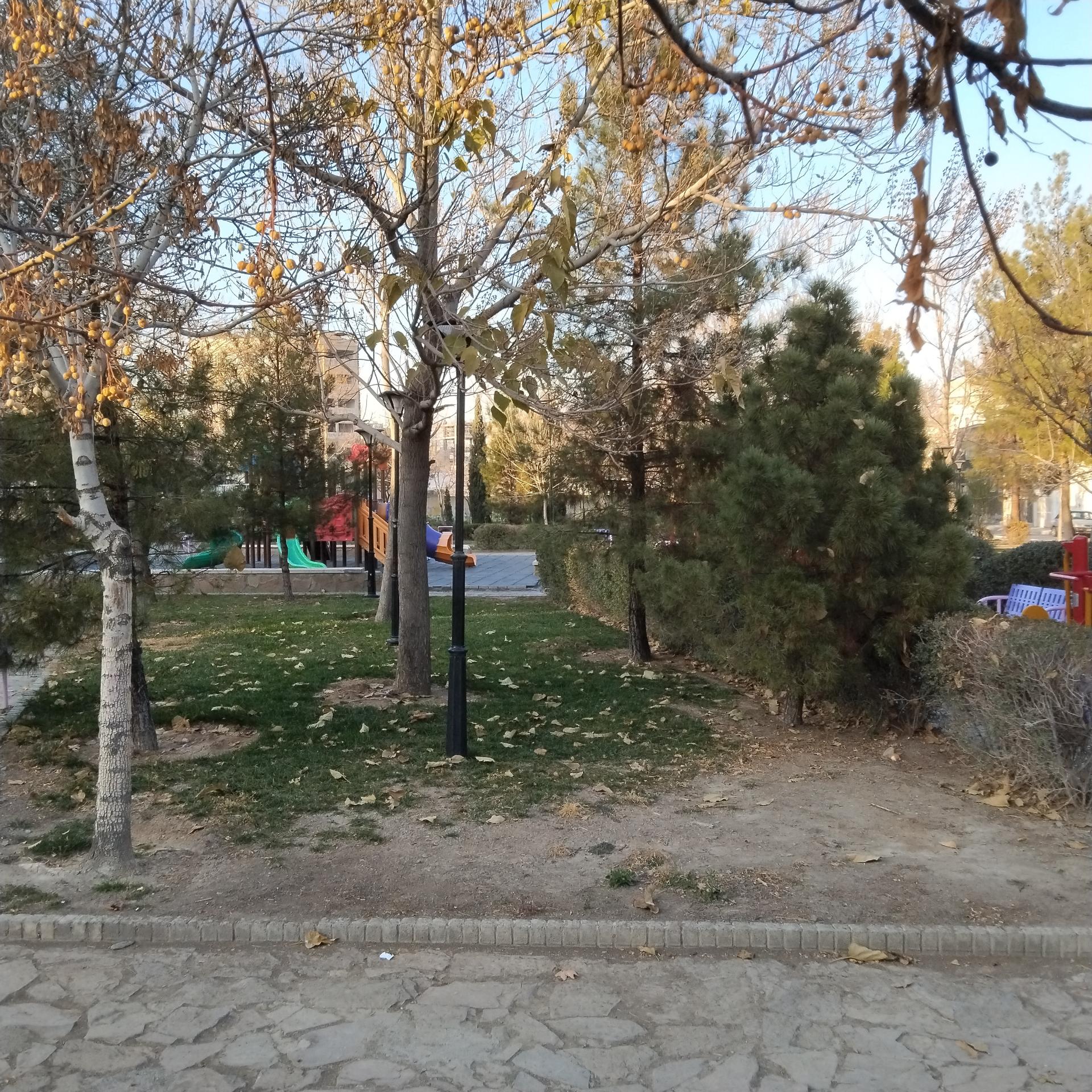 فضای سبز