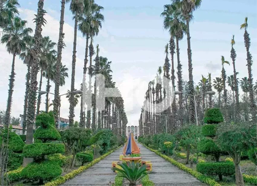 هتل آپارتمان کوثر رامسر