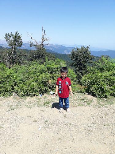 اقامتگاه زربی