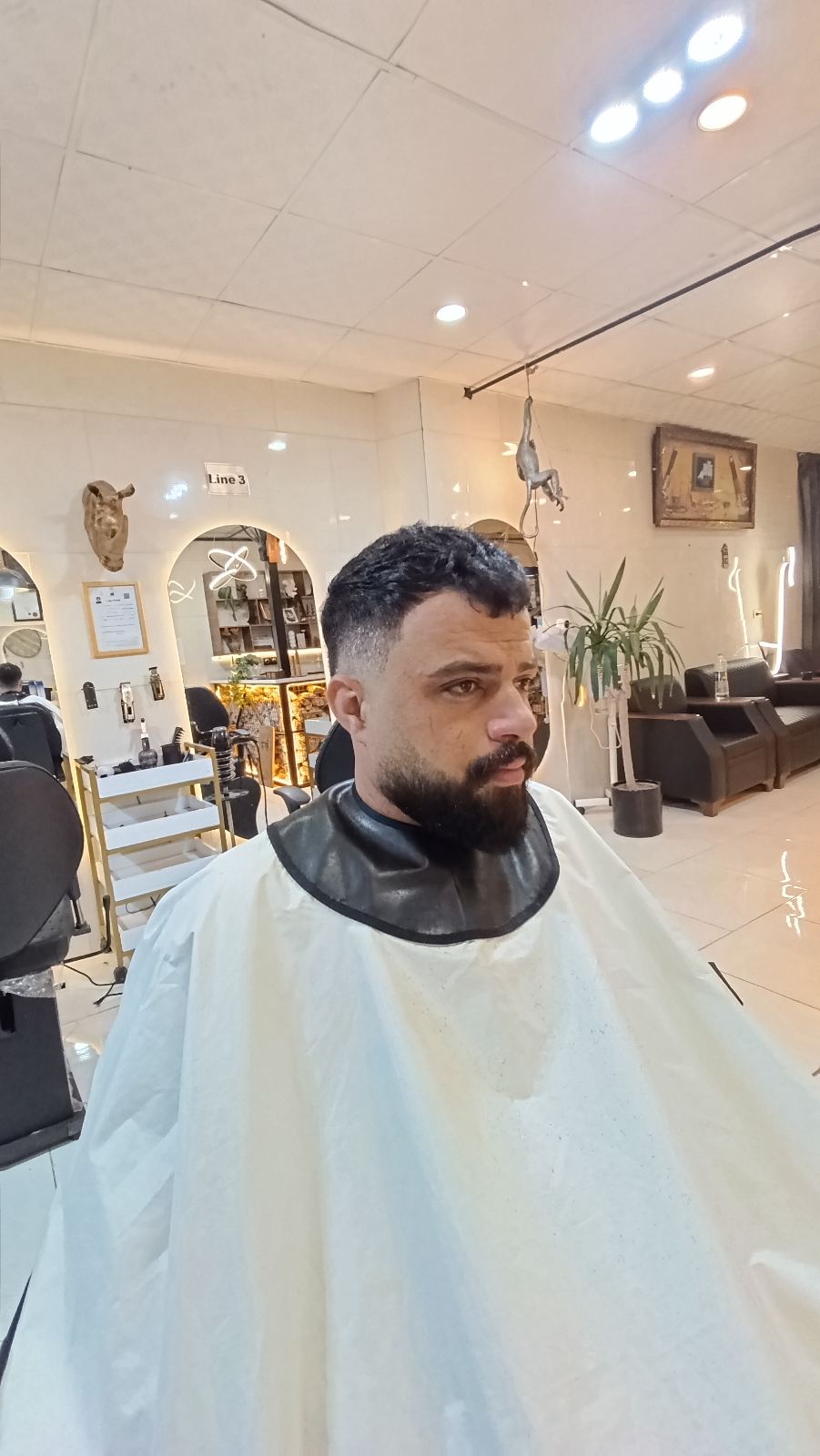 مجموعه زیبایی دکتر فید