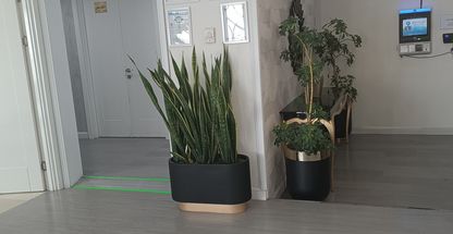 کلینیک تخصصی کاشت مو و ابرو تهران