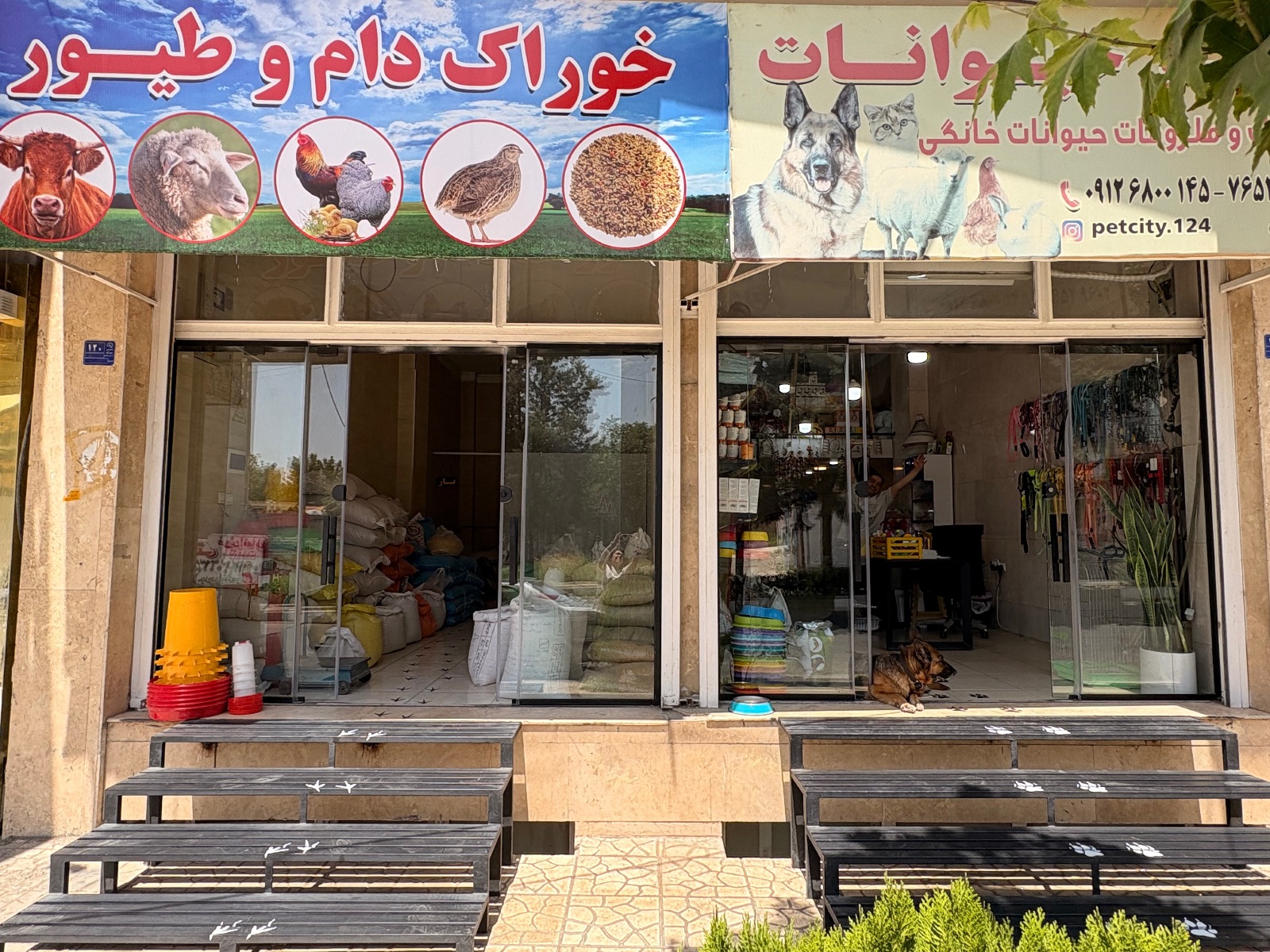 پت شاپ  شهر حیوانات