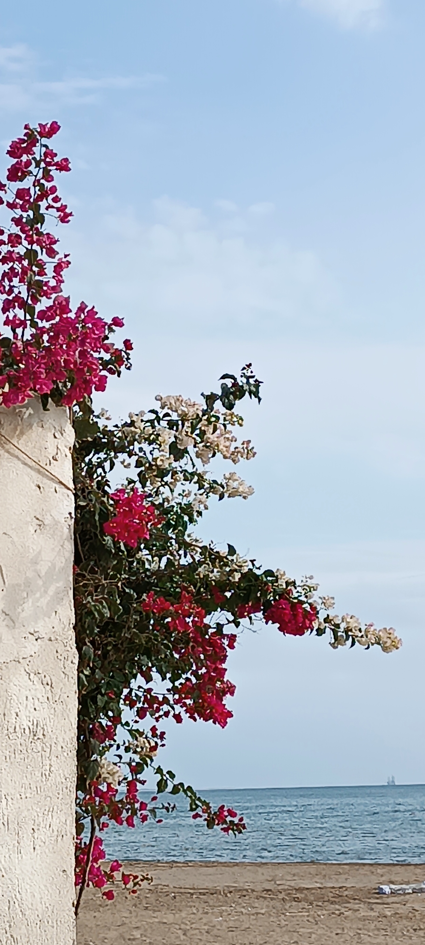 خدمات عکاسی قربانی