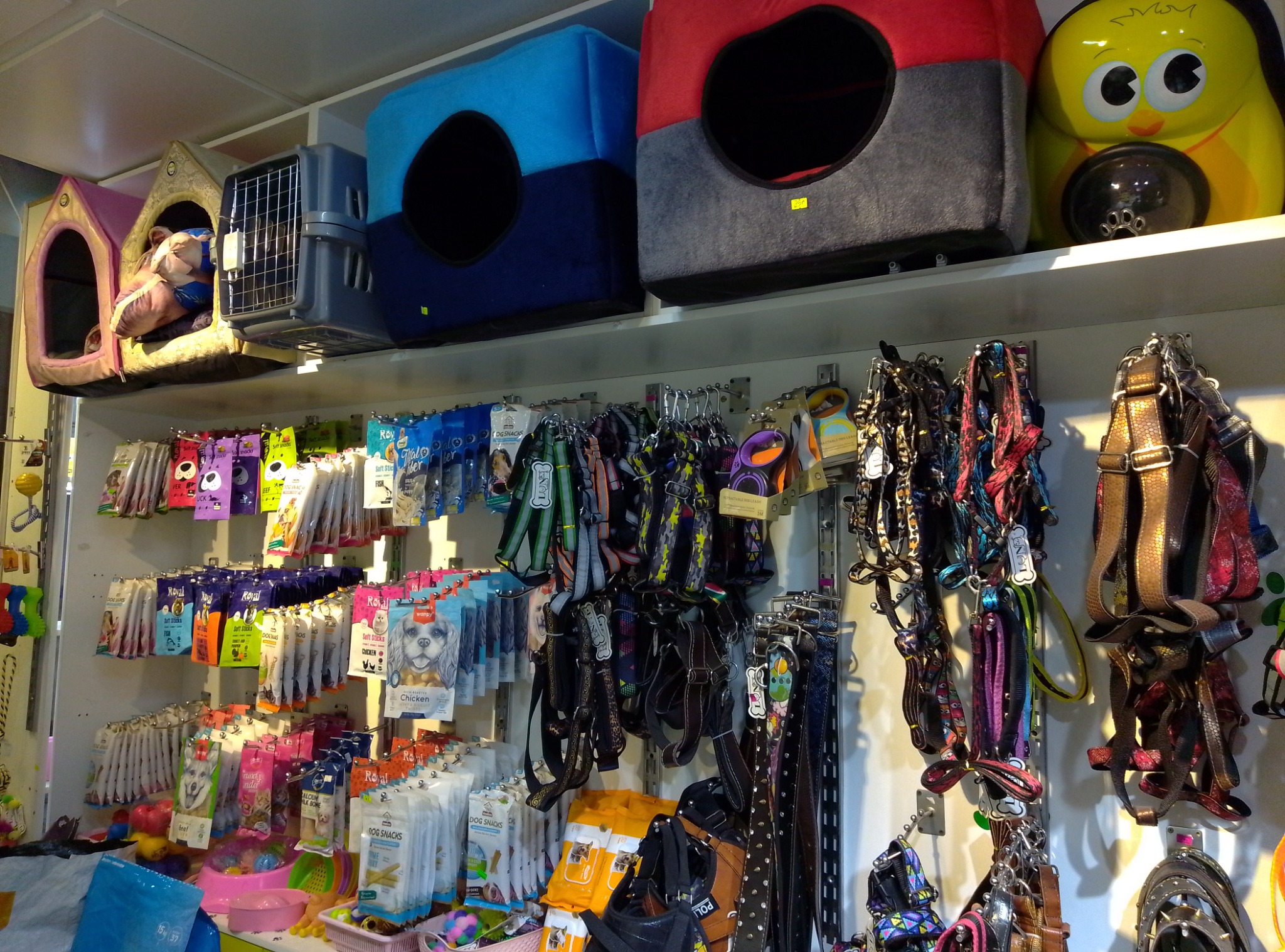 پت شاپ لئو پت