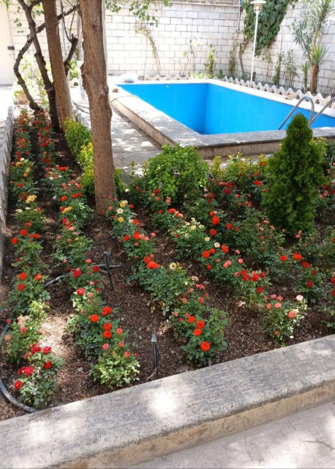 خدمات درختکاری و باغبانی