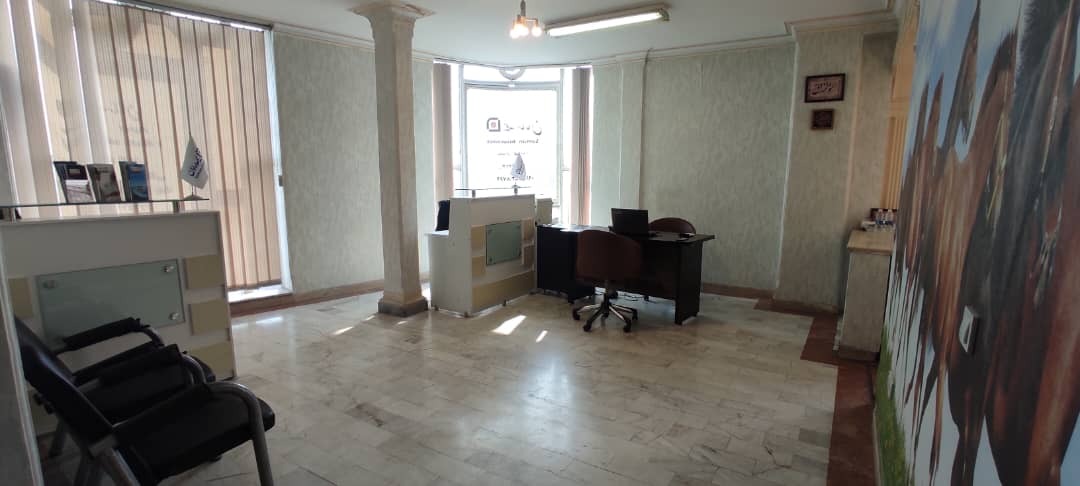 نمایندگی بیمه سامان  سمیرا سوار در بازار