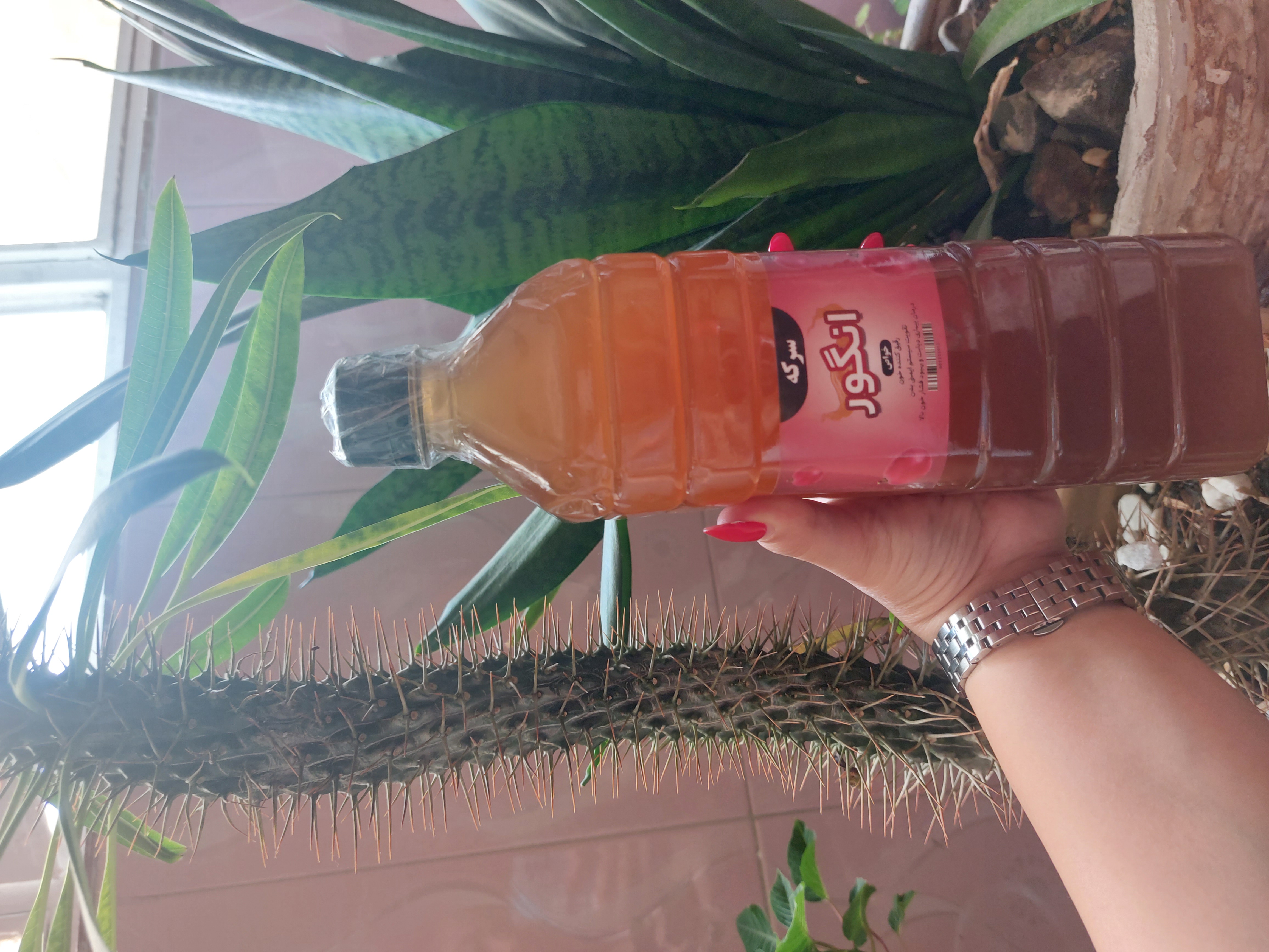 محصولات ارگانیک حیات