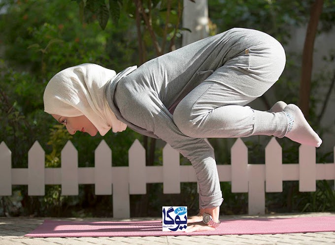 موسسه دانش یوگا