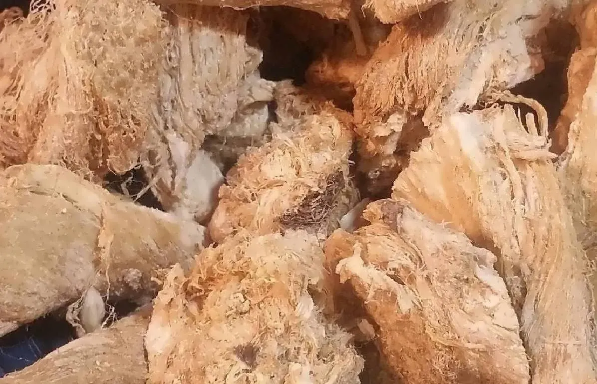 فروش گیاه دارویی قسنی (آقای عباس‌زاده)