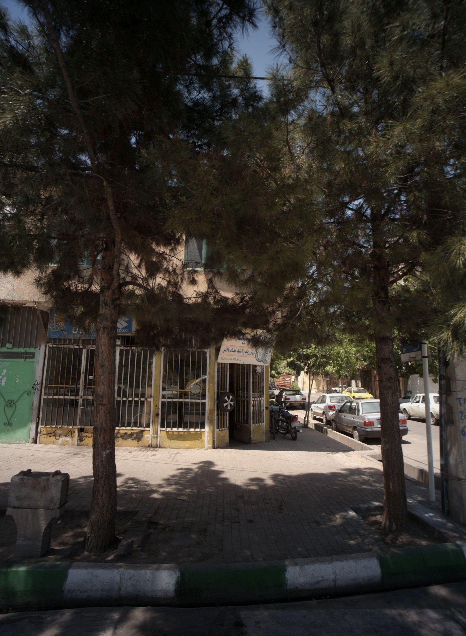 فروشگاه رینگ و لاستیک