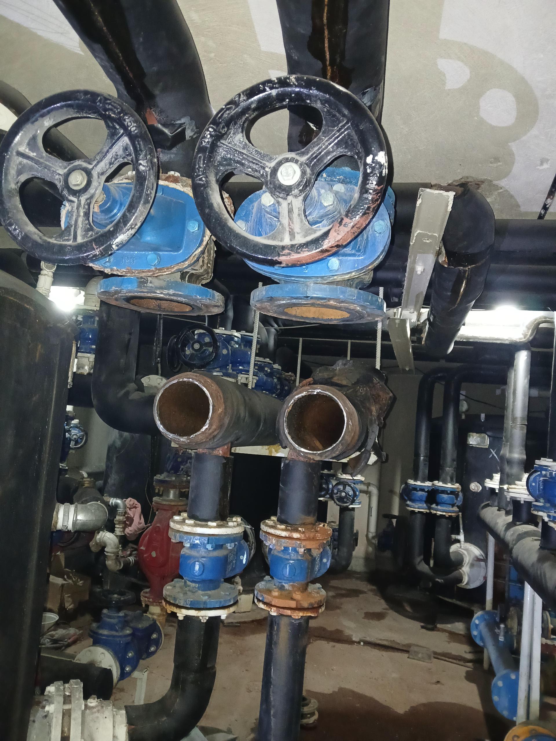 فست فود ژاو
