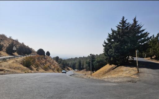 بوستان جنگلی یاس فاطمی