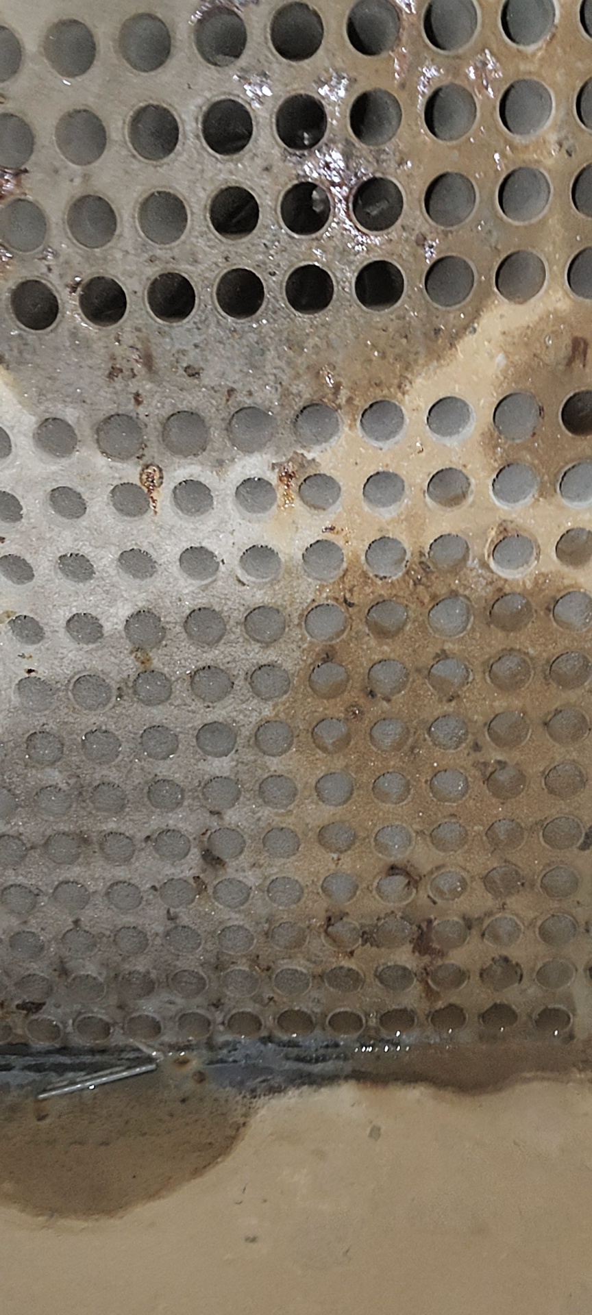 مبین گسترآریانور