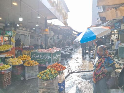 بازار ماهی چالوس