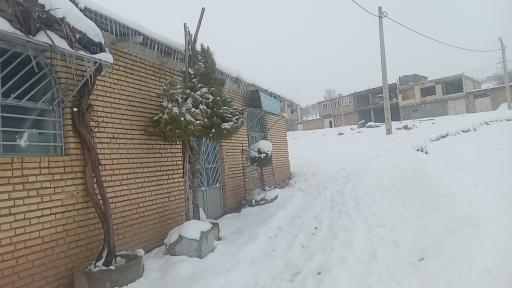 فروشگاه محمد