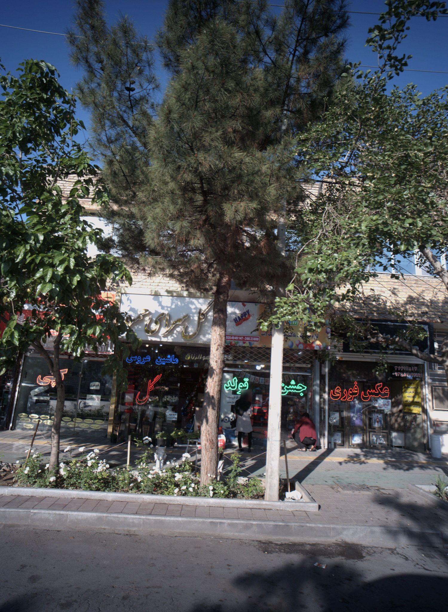 گلسرای حمید