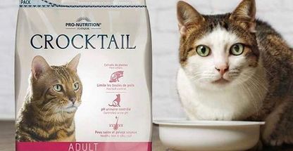 پت شاپ مانی