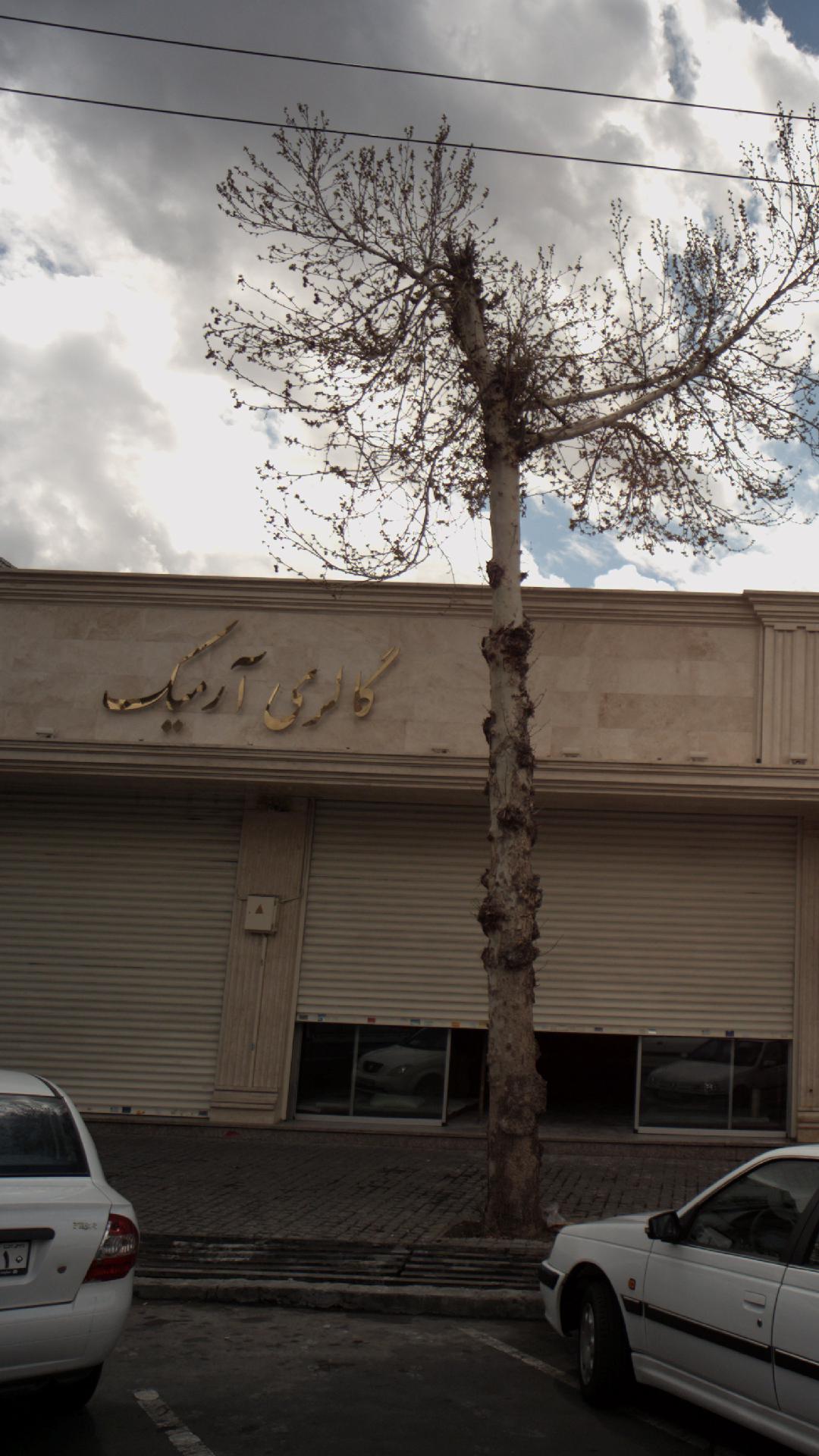 گالری آرمیک