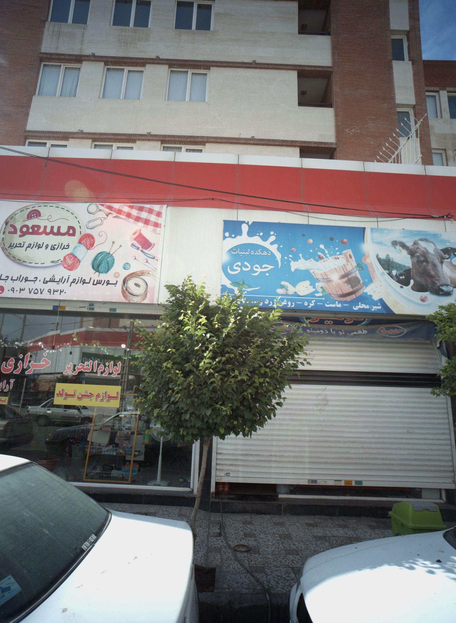 دهکده لبنیات جودی