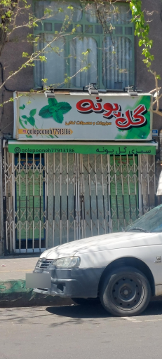 سبزی گل پونه