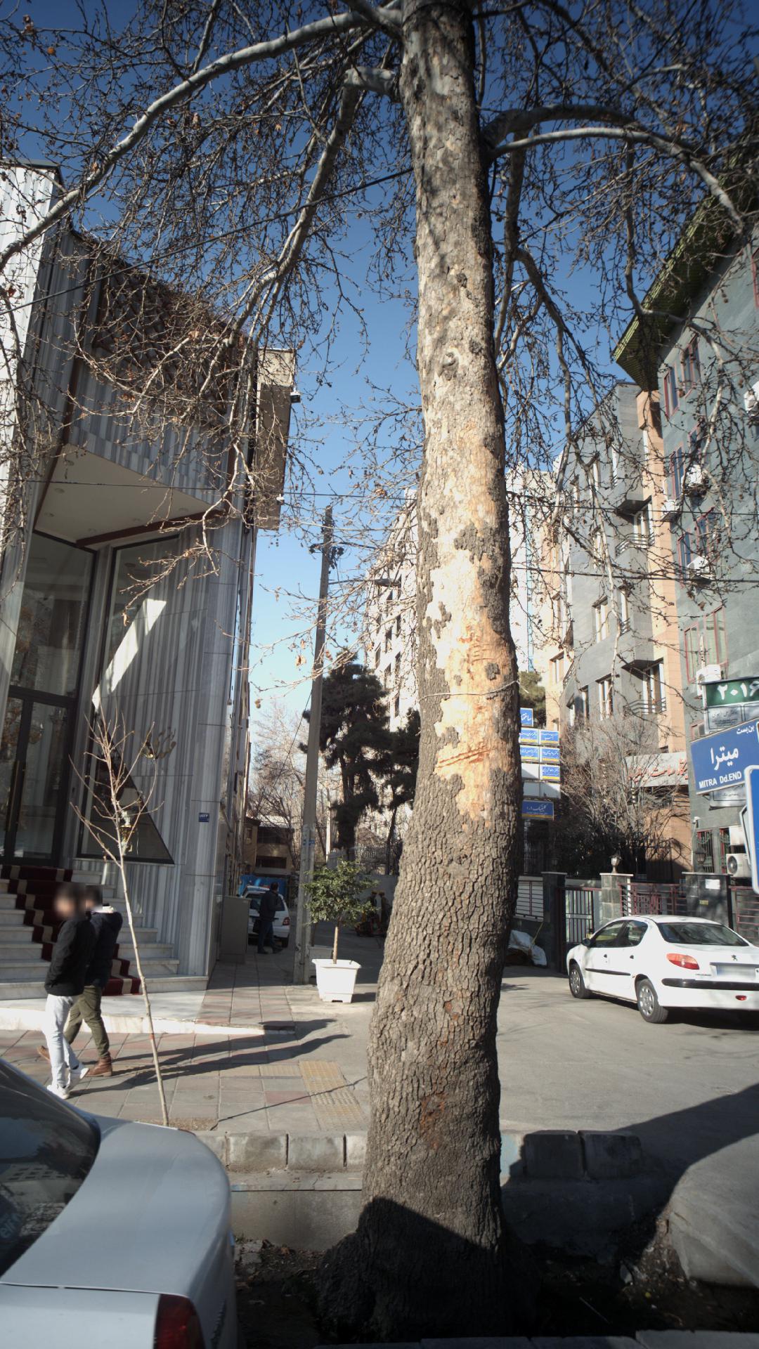 آسایشگاه سلامت ایرانیان