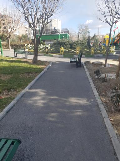 سرویس بهداشتی