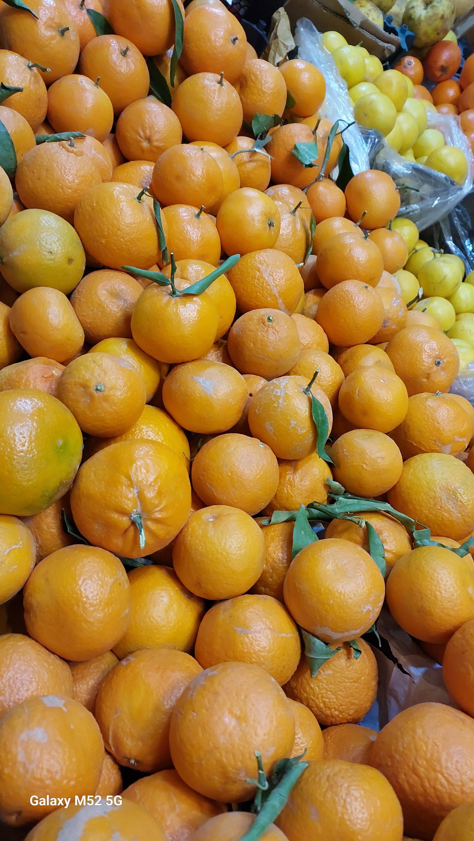 میوه نبوت