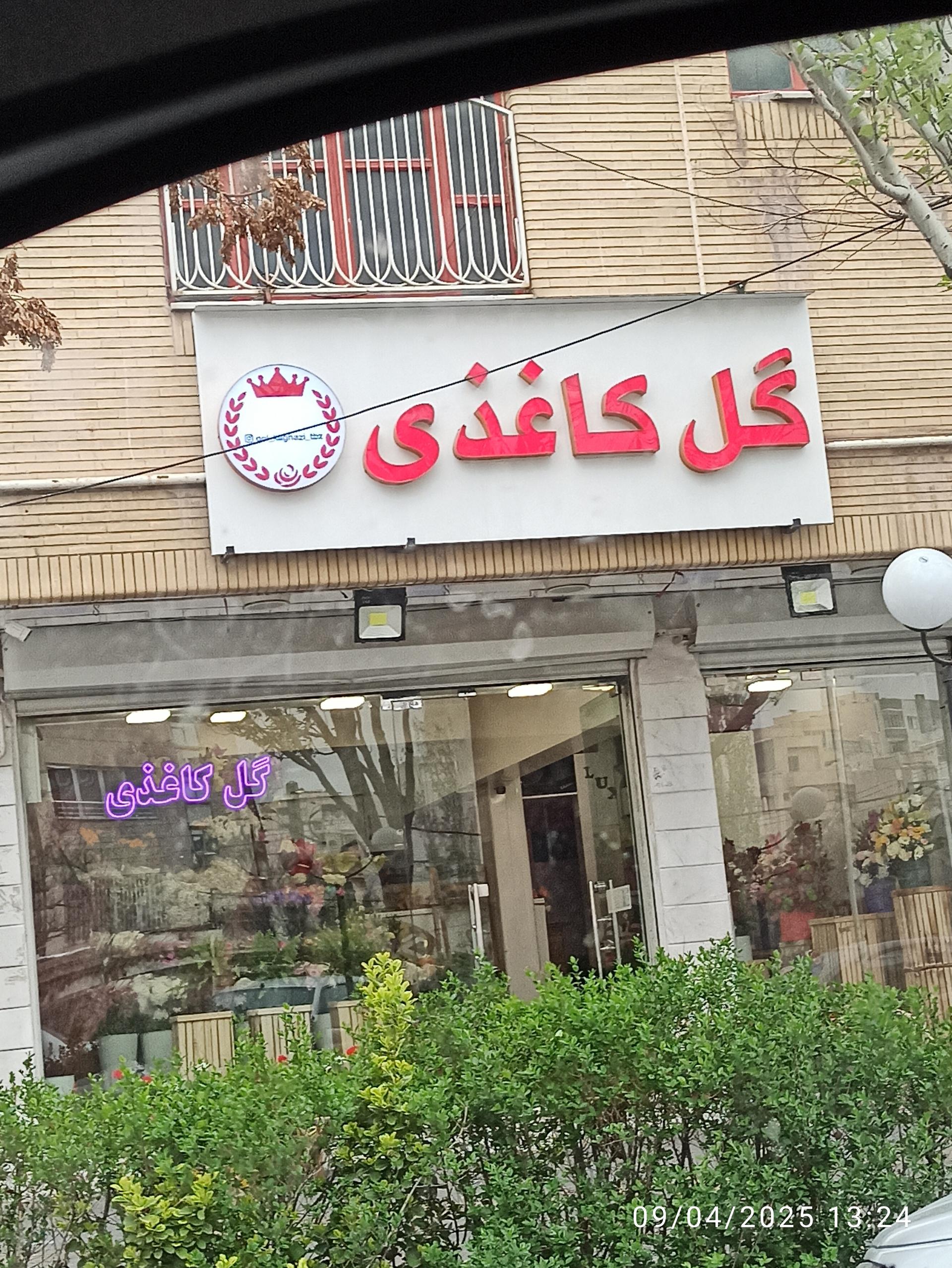 گل رکس