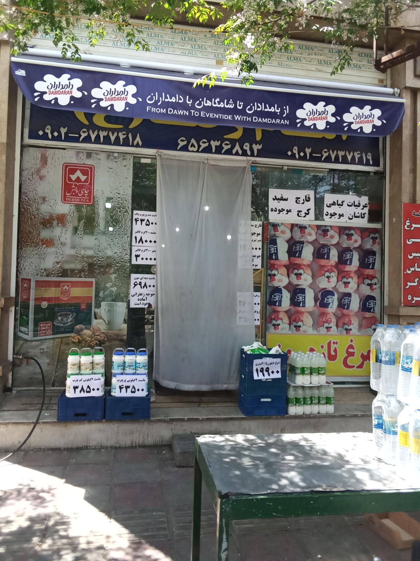 کاکتوس ملل