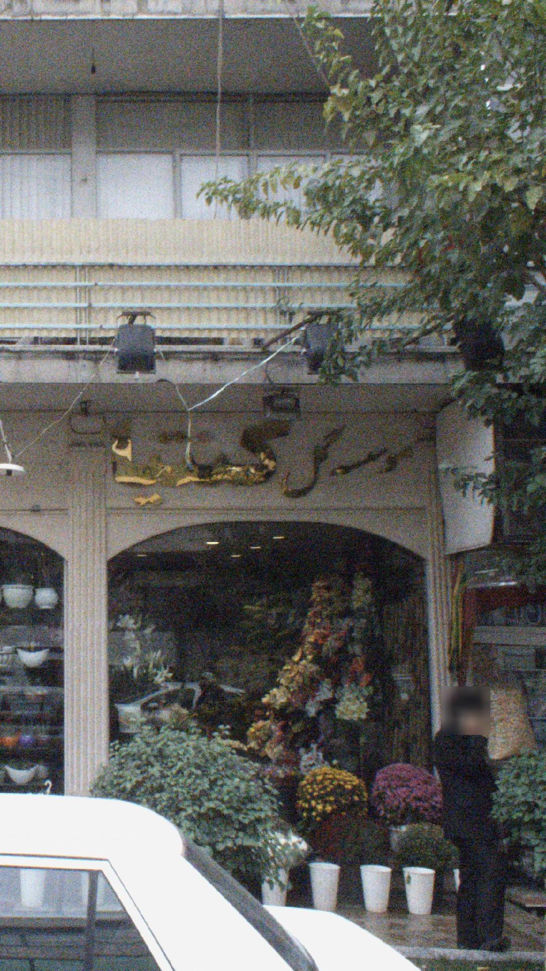موسسه گل کنتیا