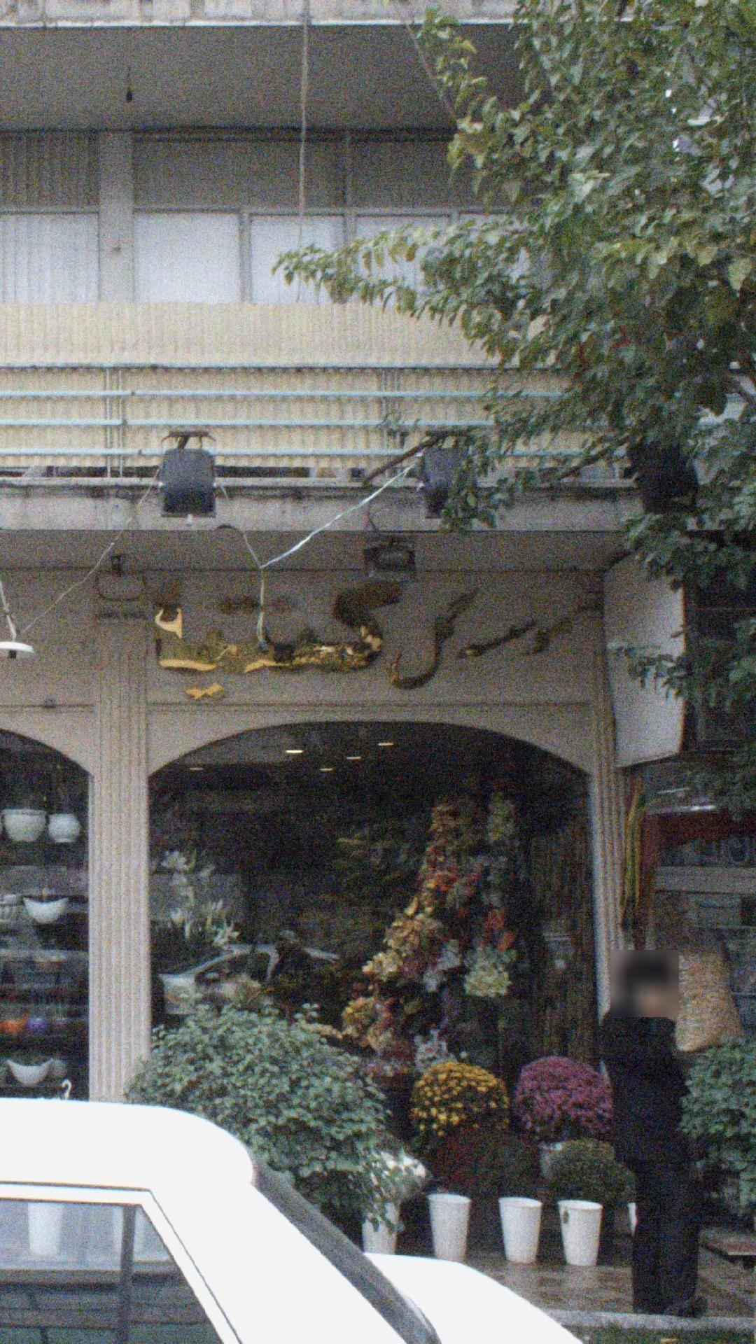 موسسه گل کنتیا