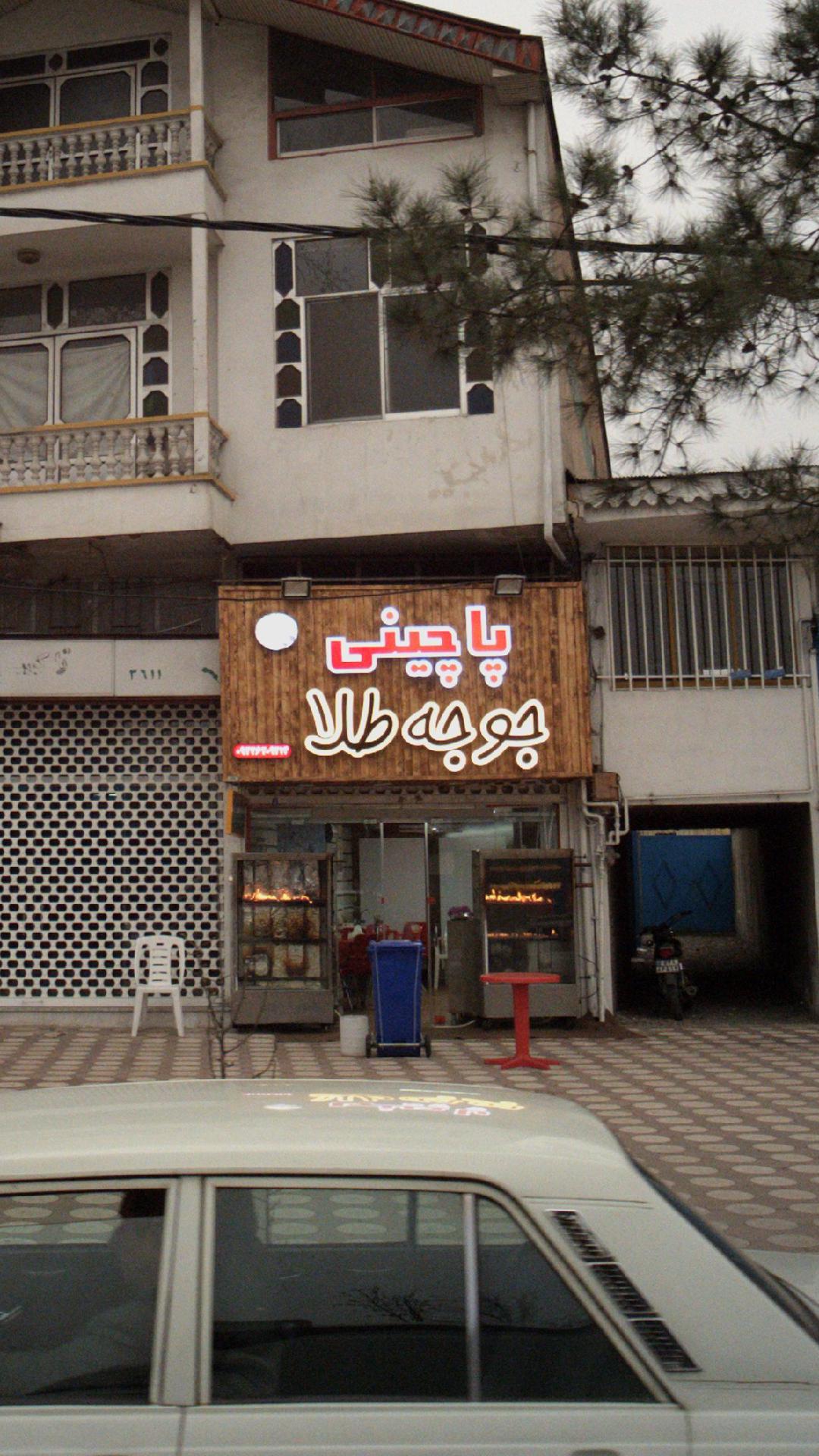 پاچینی جوجه طلا