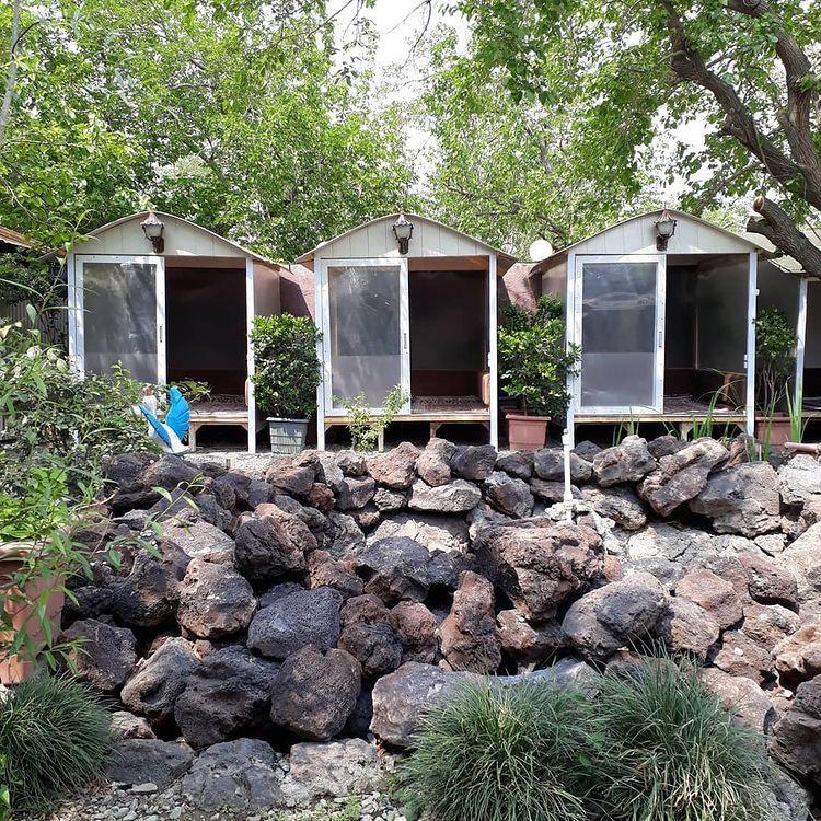 باغ رستوران برکه