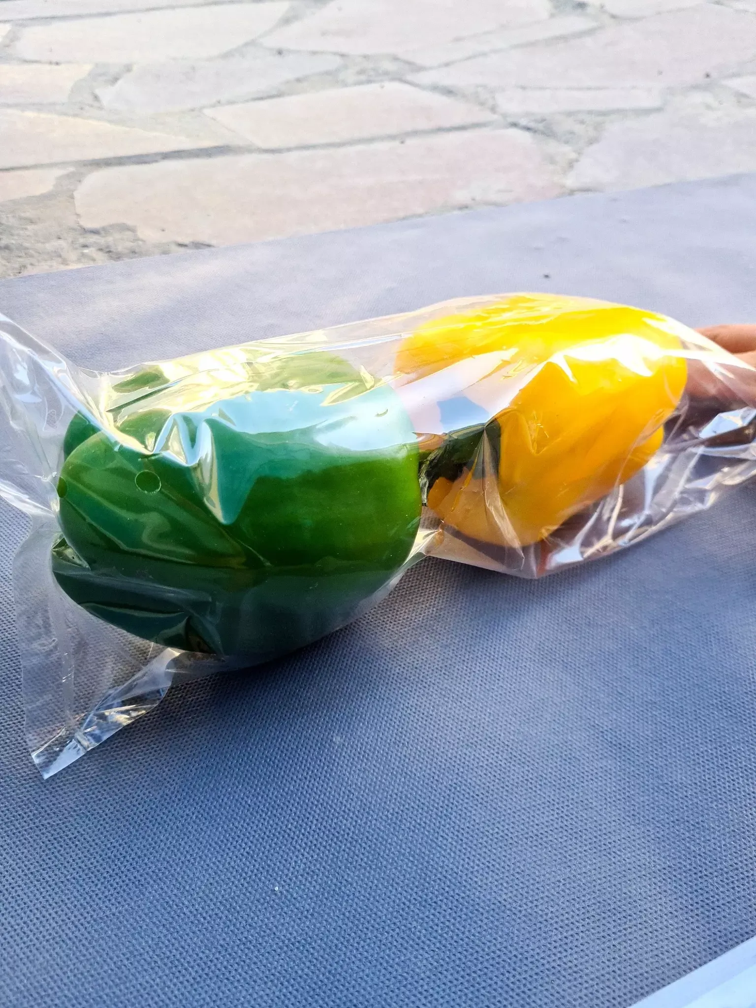 شرکت تولیدی فرات