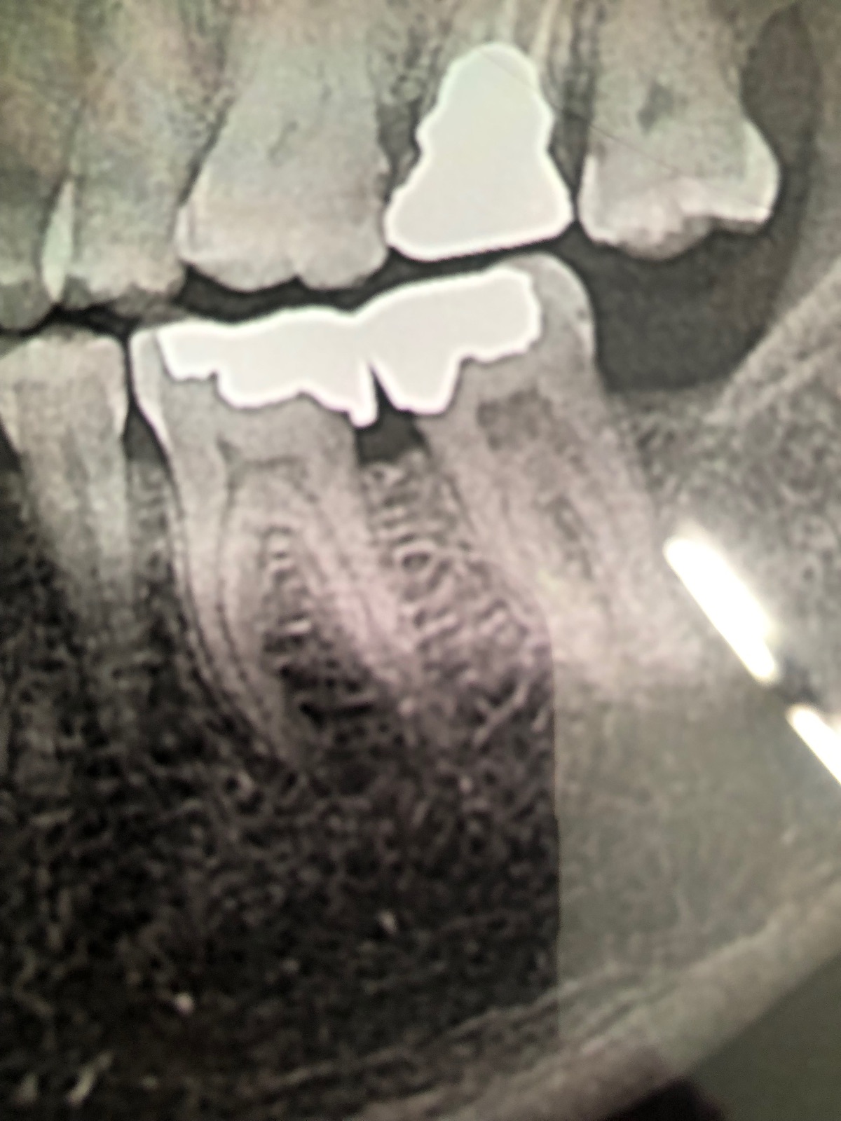 مطب دکتر حمید رضوان متخصص دندانپزشکی - یزد - 3819