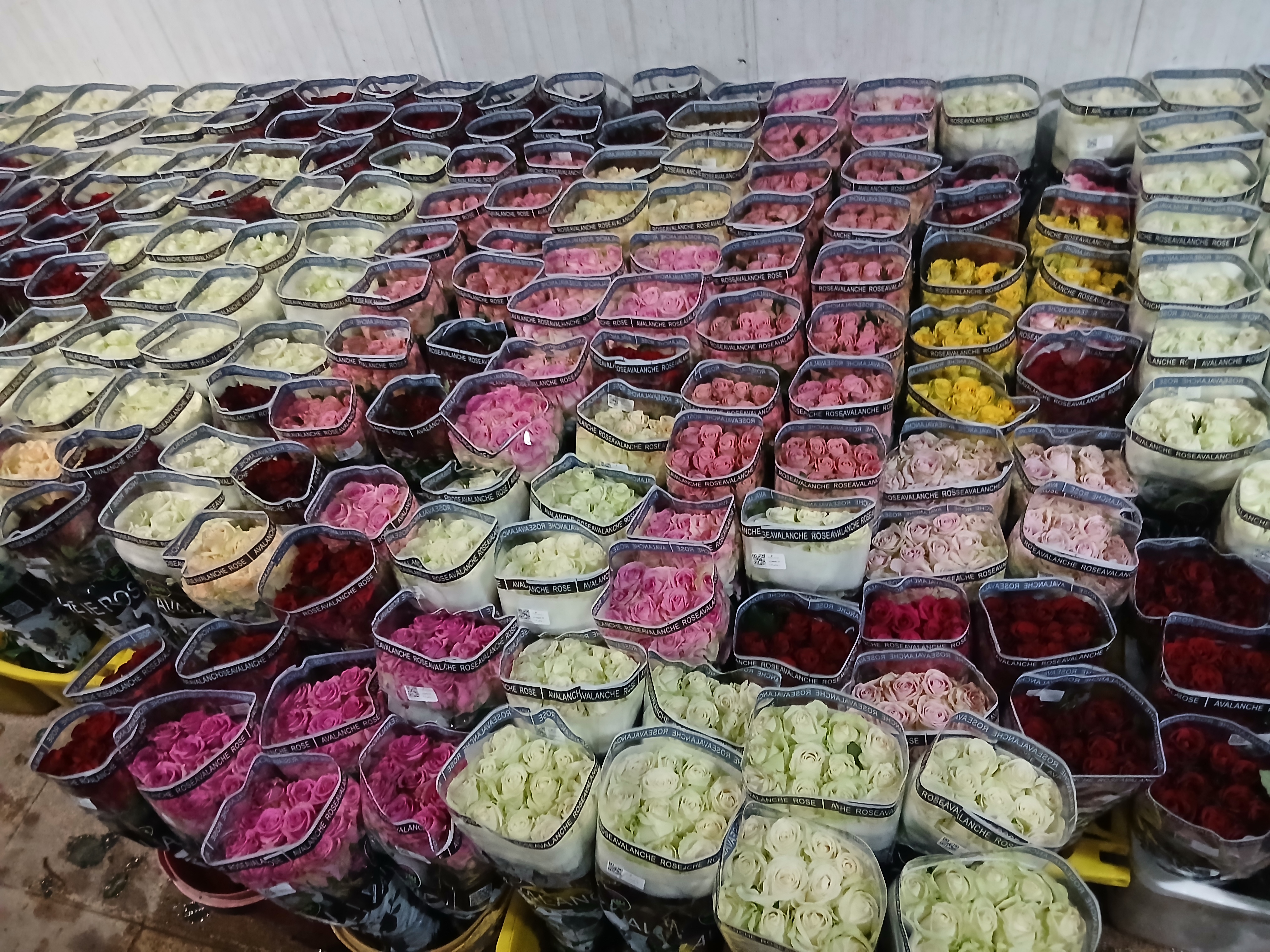 گل فروشی دیلمان