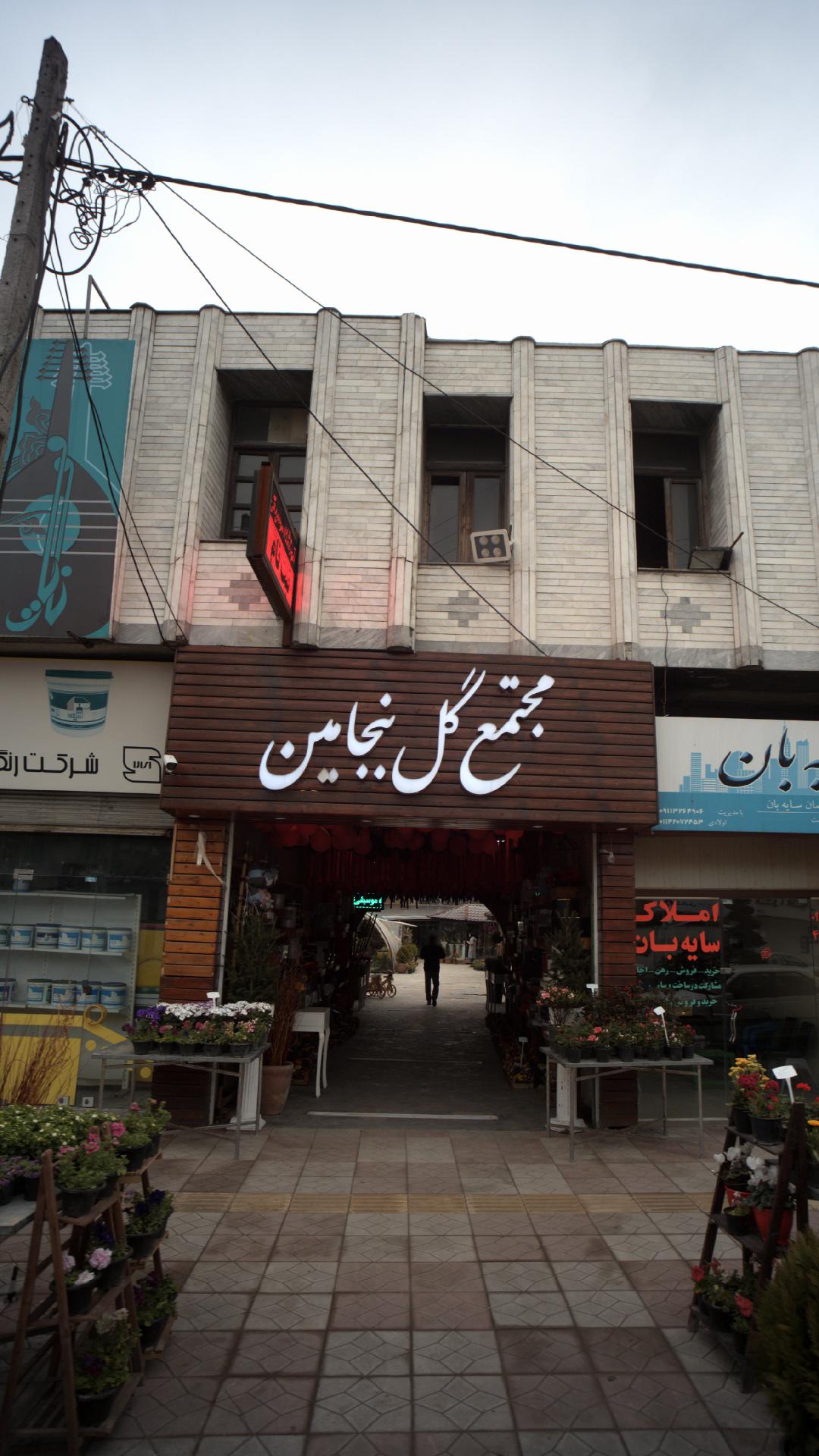 گل و گیاه ترنه