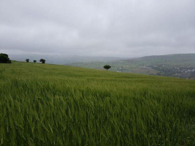 سوئیت آپارتمان سعید