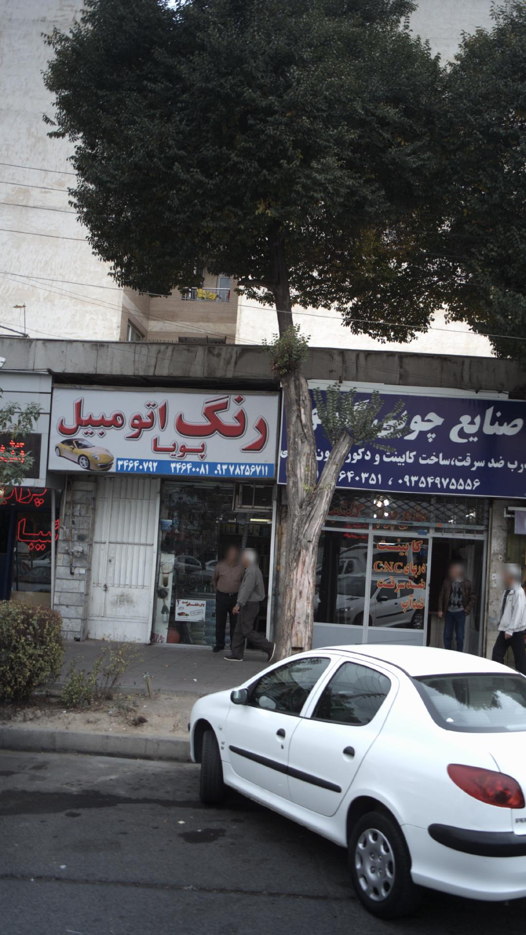 رنگ اتومبیل پویا