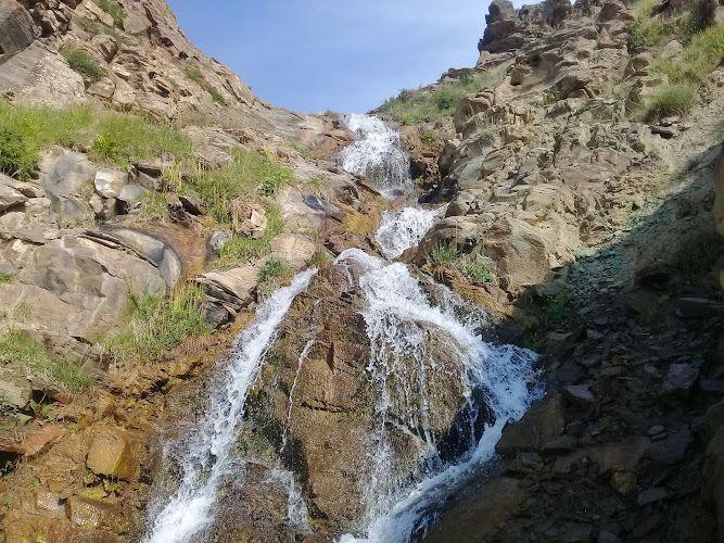 مهمانپذیری فصل اسب خانی