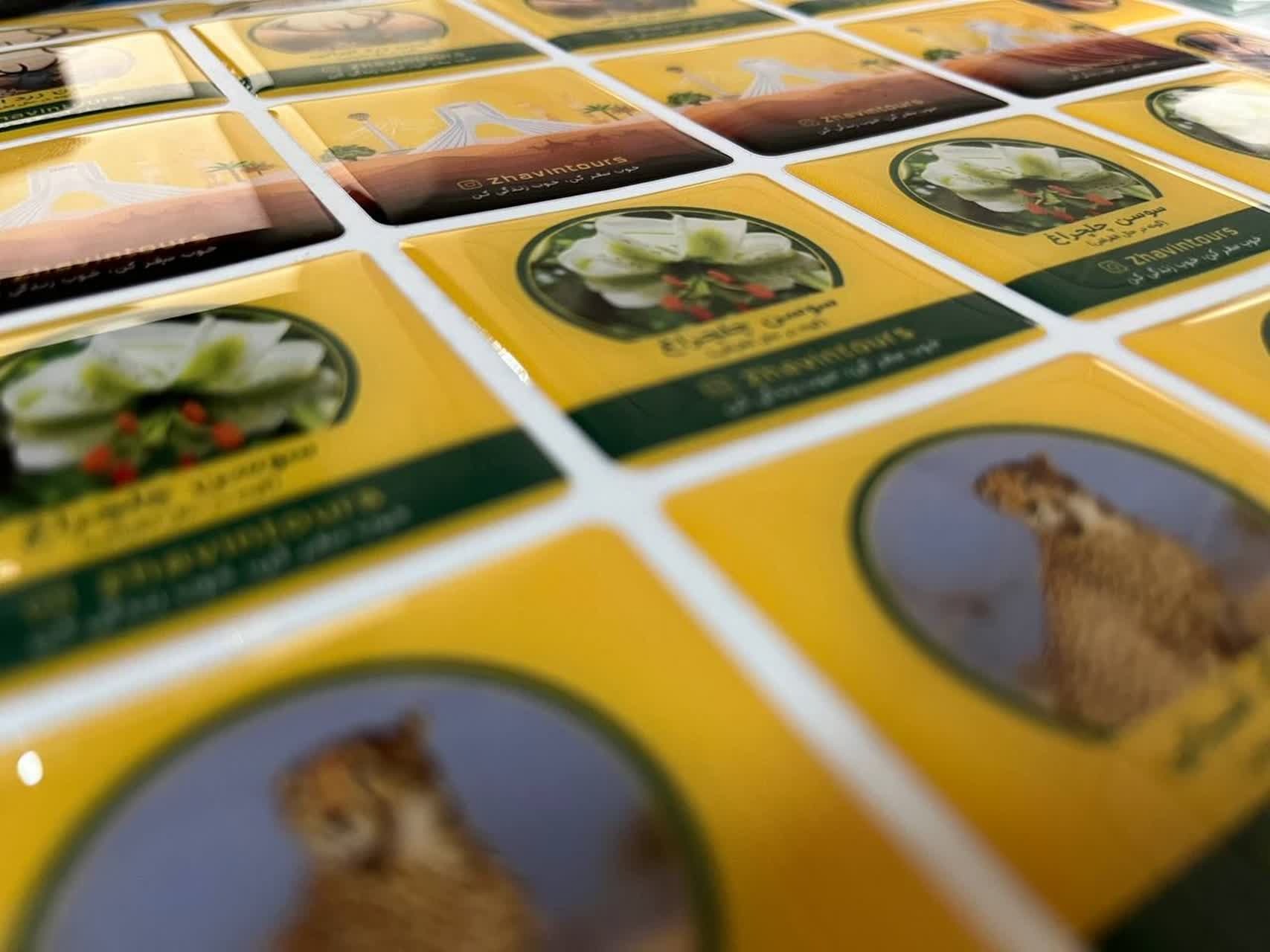 برندیس مارک